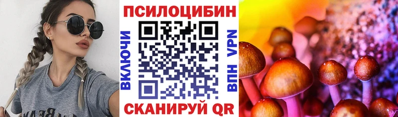 Псилоцибиновые грибы Magic Shrooms  купить наркотики цена  OMG ссылка  Стародуб 